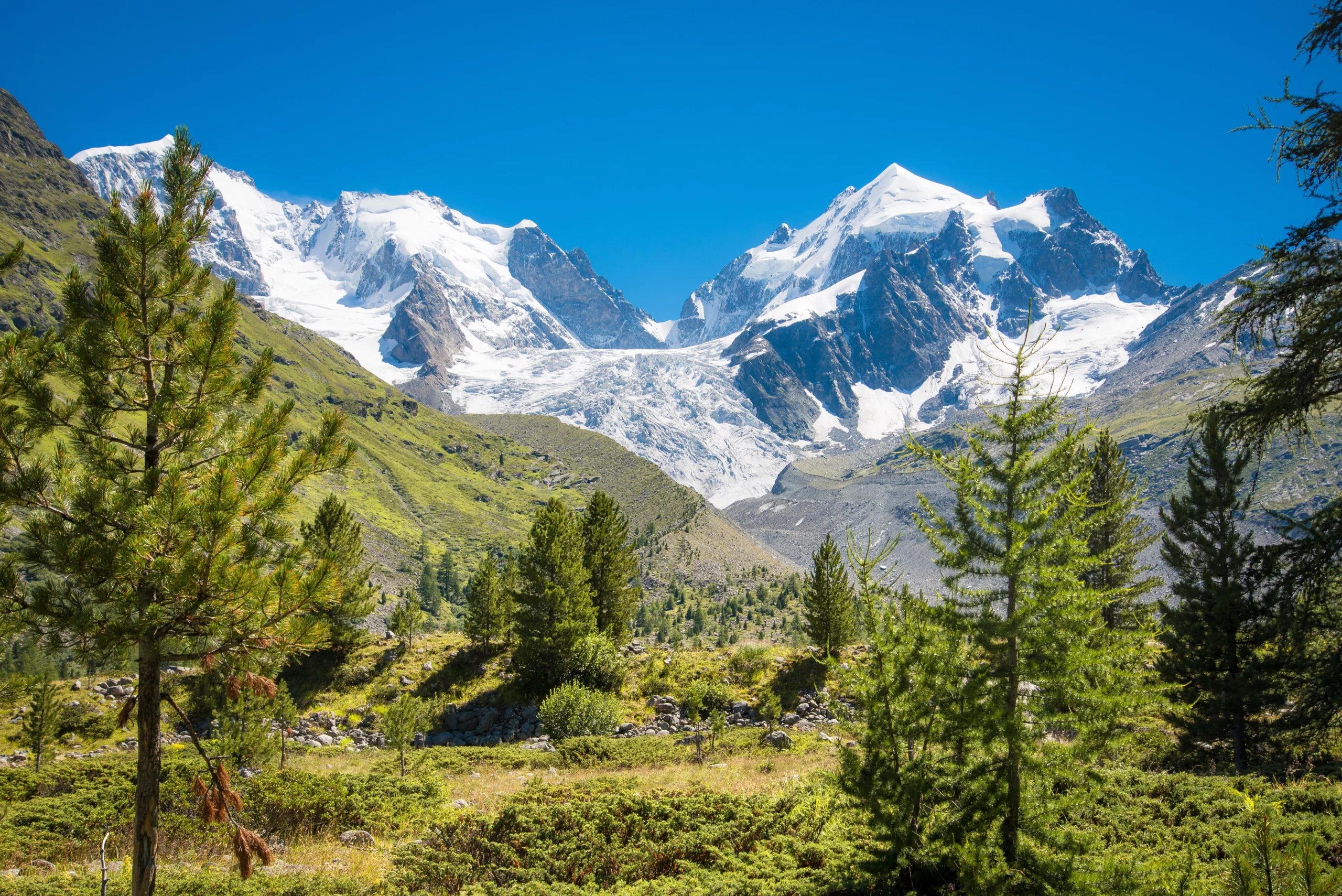Paysage forêt et montagne aux Grisons – Léonie Favre